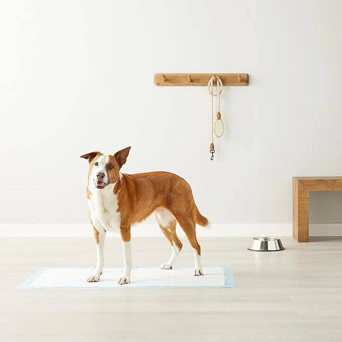 Amazon Basics Puppy Pads – XL 28x34", 5-Layer Leak-Proof Potty Training Pads (40-Pack)