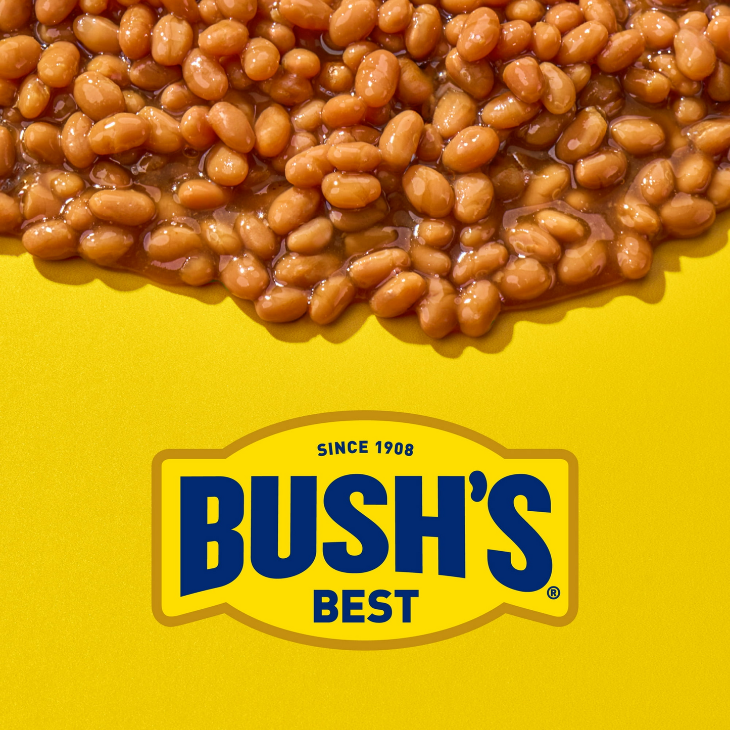 Bush's Brown Sugar Hickory Baked Beans, Canned Beans, 16 oz Can