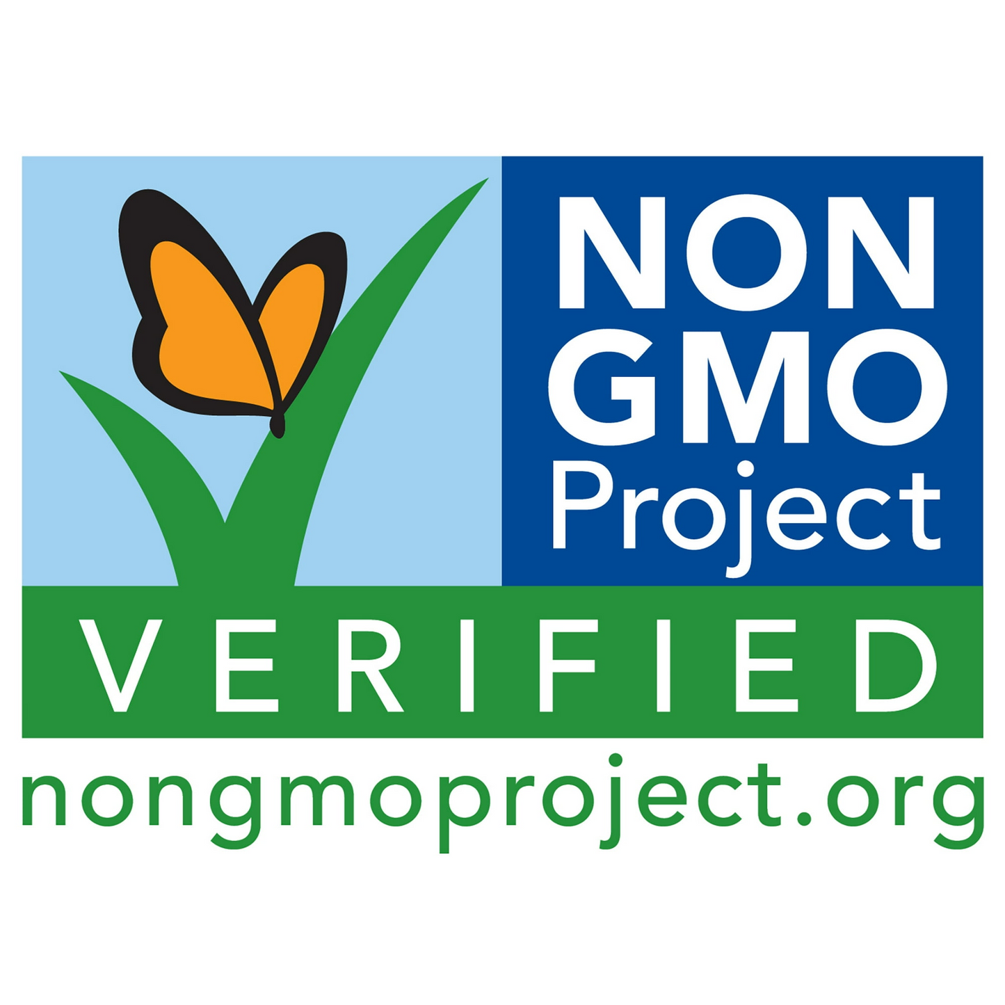 Fresh Gourmet Crispy Fried Onions, Salad Topping, Non-GMO, 3.5 oz