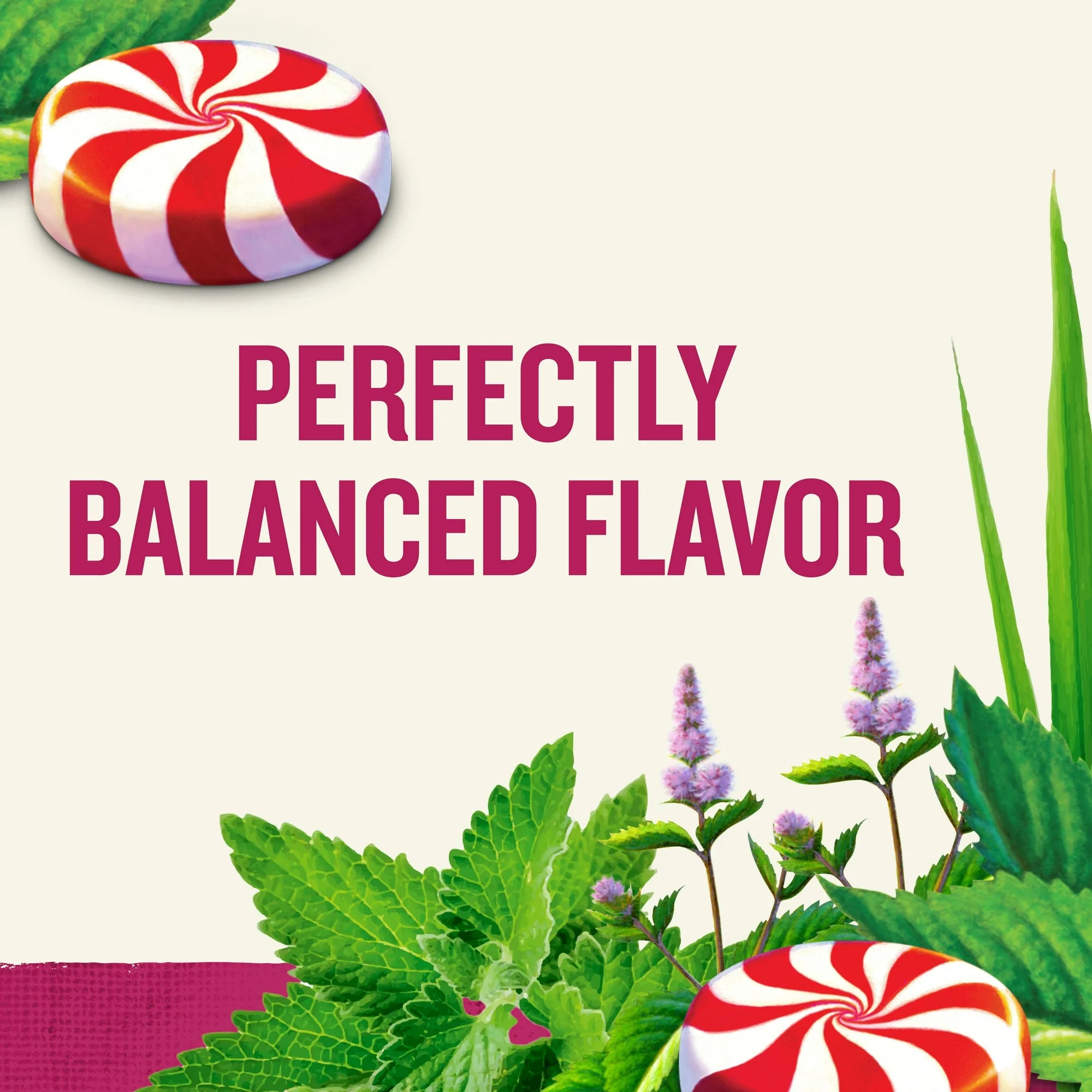Celestial Seasonings Peppermint Herbal Tea Refreshing Caffeine-Free Mint Tea Bags (40 Count)
