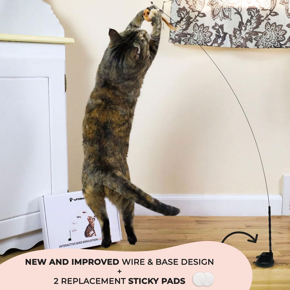 Whiskertons Interactive Bird Cat Toy – Suction Base with 5 Feather Bird Refills & Bells