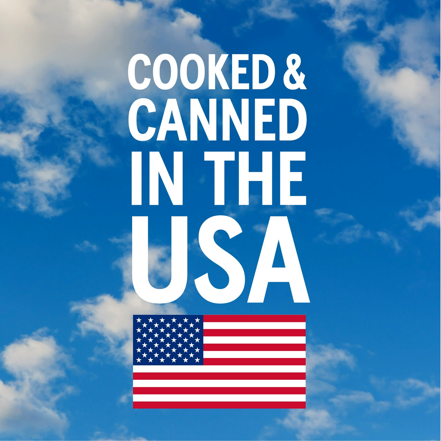 Bush's Light Red Kidney Beans, Canned Dark Red Kidney Beans, 16 oz Can